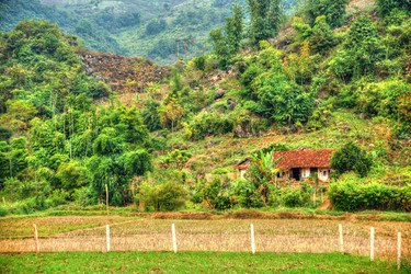 Similar image 13151504