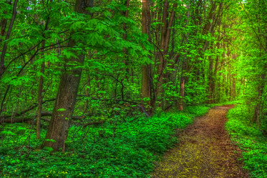 Similar image 13151580