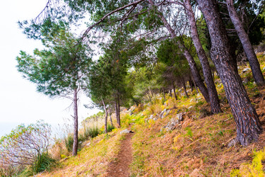 Similar image 13151602