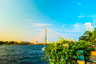 Similar image 13151701