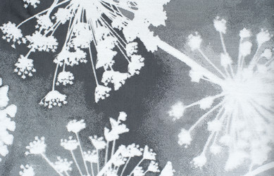 Similar image 13171648