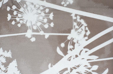 Similar image 13171649