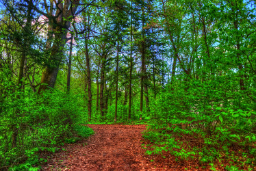 Similar image 13151917