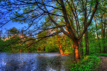 Similar image 13151956