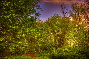 Similar image 13152115