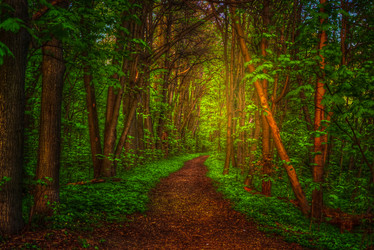 Similar image 13152133