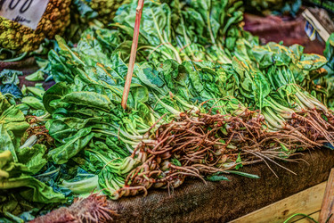 Similar image 13151901