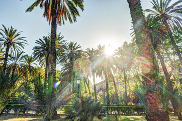 Similar image 13152097