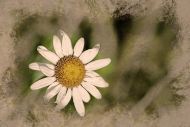 Similar image 13152404