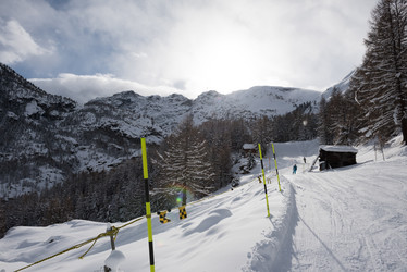 Similar image 13161260