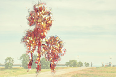 Similar image 13152312