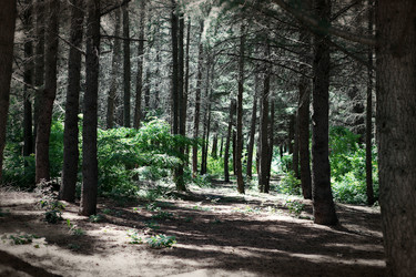 Similar image 13170586