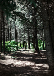 Similar image 13170587