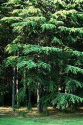 Similar image 13170589