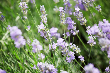 Similar image 13170591