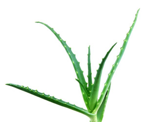 Similar image 13170610