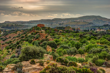 Similar image 13151063