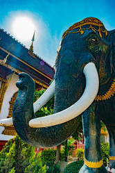 Similar image 13151886