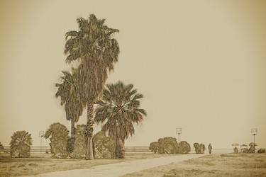 Similar image 13151630