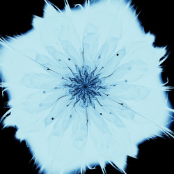 Similar image 13151850