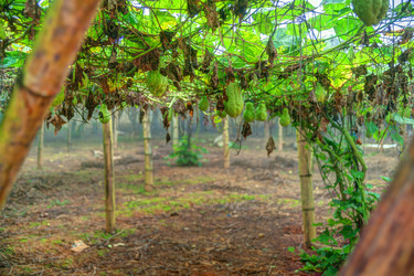 Similar image 13151396