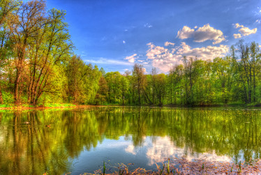 Similar image 13151338