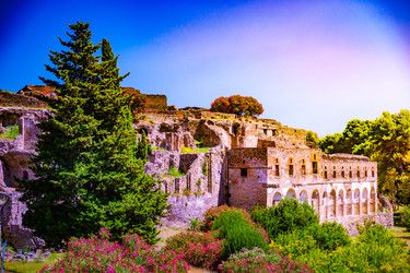 Similar image 13153024