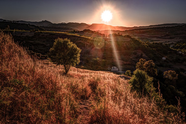 Similar image 13151100