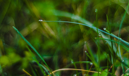 Similar image 13154921