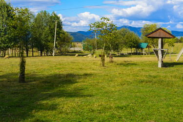 Similar image 13155180