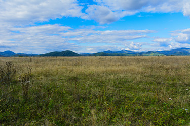 Similar image 13155182