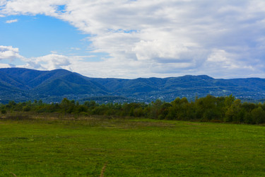 Similar image 13155184