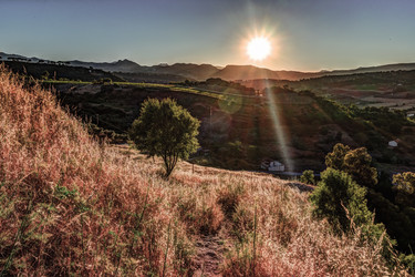 Similar image 13151044