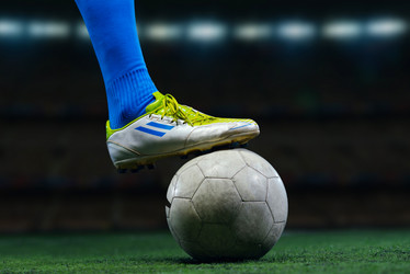 Similar image 13160056