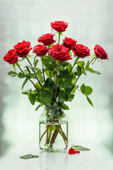 Similar image 13189003