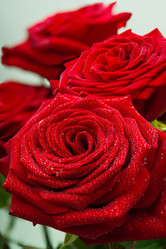 Similar image 13188986