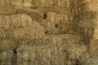 Similar image 13173622