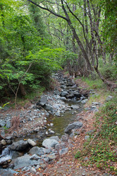 Similar image 13176956