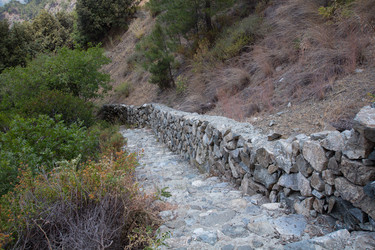 Similar image 13163262