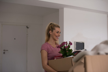 Similar image 13174533