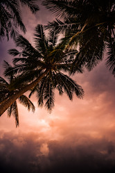 Similar image 13151771