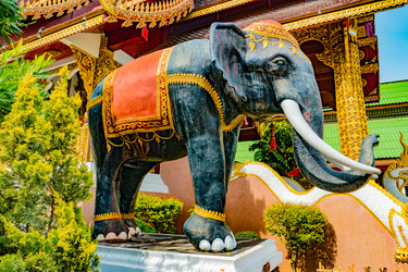 Similar image 13151965