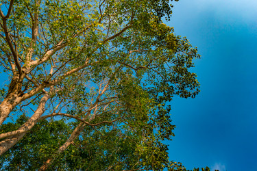 Similar image 13152143