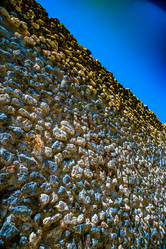 Similar image 13151536