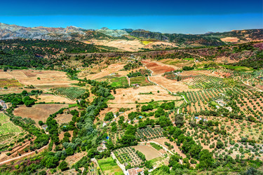 Similar image 13153010