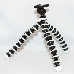 Similar image 13153898