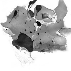 Similar image 13174118