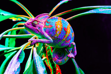 Similar image 13170878