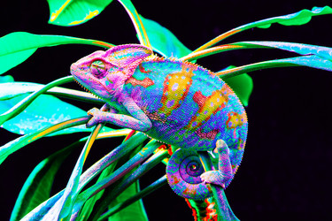 Similar image 13170881