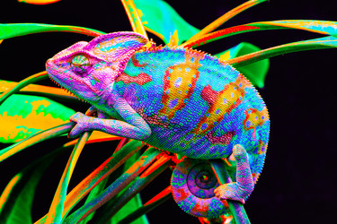 Similar image 13170882